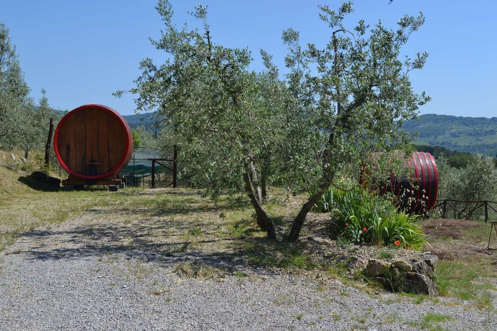 Terre Di Melazzano - Le Case Di Chiara Greve in Chianti Exterior foto