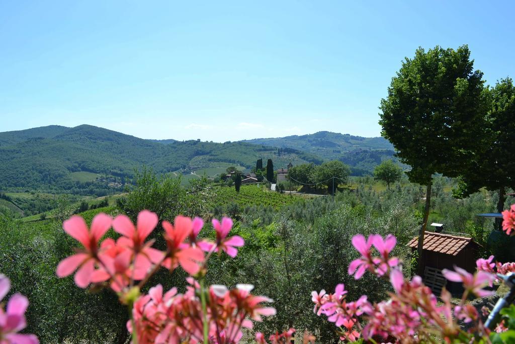 Terre Di Melazzano - Le Case Di Chiara Greve in Chianti Exterior foto